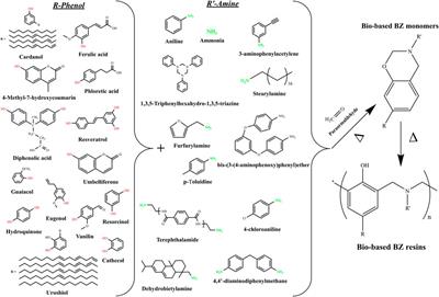 Sustainable and Ecofriendly Chemical Design of High Performance Bio-Based Thermosets for Advanced Applications